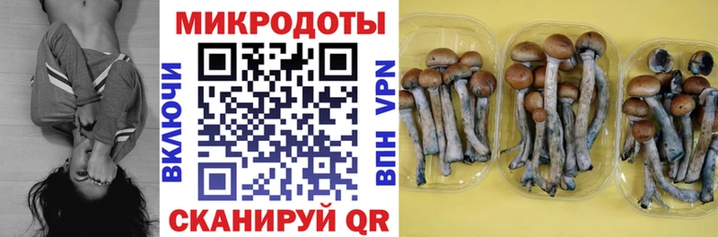 Галлюциногенные грибы прущие грибы  Зея 